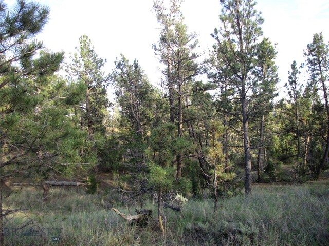 TBD Echo Ave E Unit E Lot-23A, Roundup, MT 59072 - photo 22