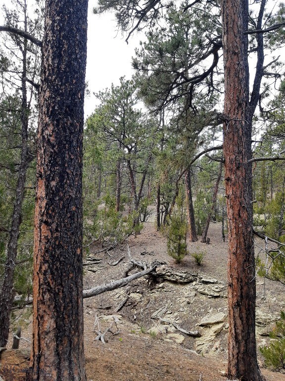TBD Echo Ave E Unit E Lot-23A, Roundup, MT 59072 - photo 23