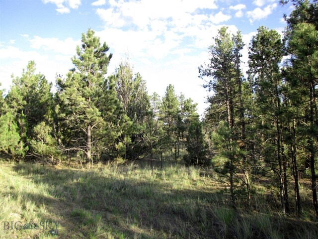 TBD Echo Ave E Unit E Lot-23A, Roundup, MT 59072 - photo 29