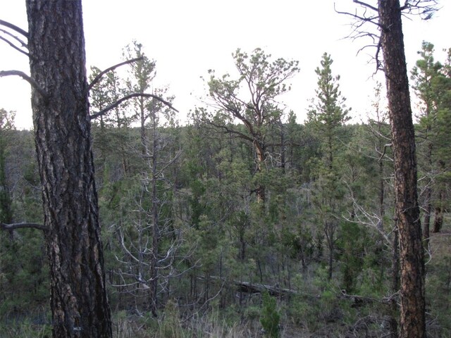 TBD Echo Ave E Unit E Lot-23A, Roundup, MT 59072 - photo 31