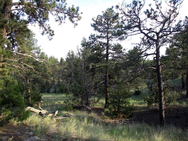 TBD Echo Ave E Unit E Lot-23A, Roundup, MT 59072 - photo 42