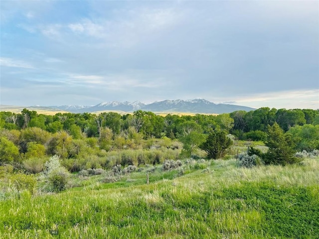275 Convict Grade Rd, Livingston, MT 59047 - photo 51