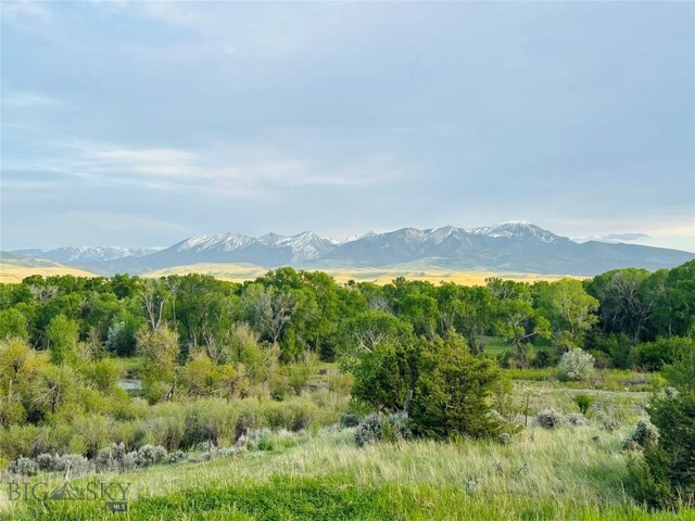 275 Convict Grade Rd, Livingston, MT 59047 - photo 86