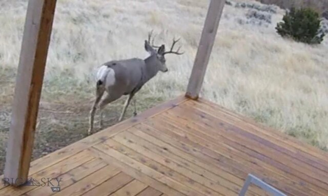 275 Convict Grade Rd, Livingston, MT 59047 - photo 89