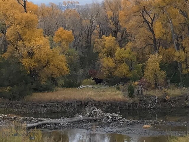 275 Convict Grade Rd, Livingston, MT 59047 - photo 93