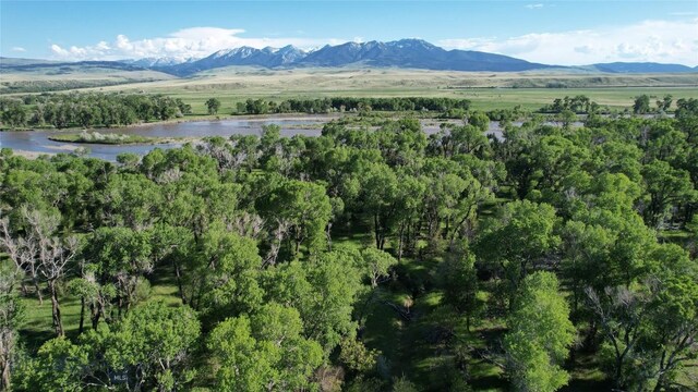 275 Convict Grade Rd, Livingston, MT 59047 - photo 24