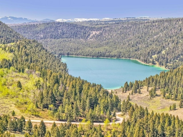 23 Lake Trl, Cameron, MT 59720 - aerial view of a heavily wooded area and a water and mountain view