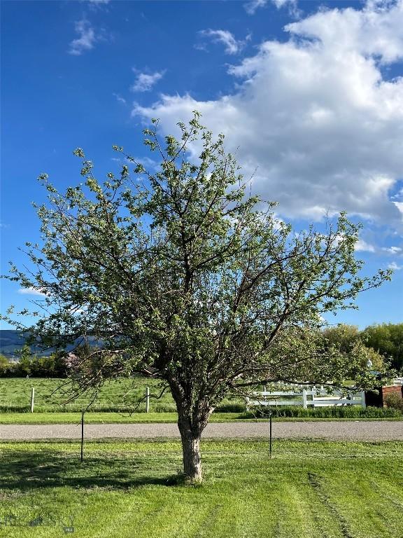 77 First Rd, Whitehall, MT 59759 - view of green lawn