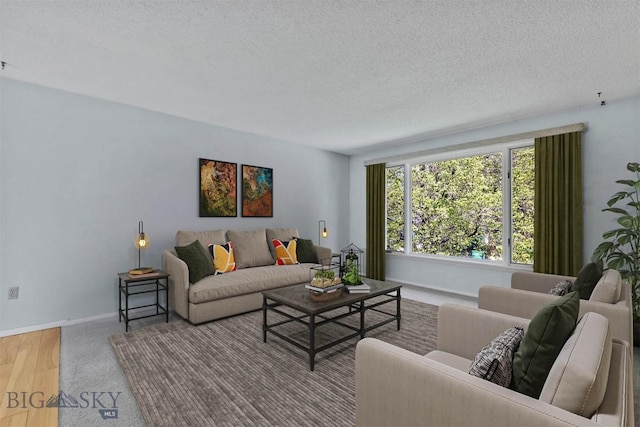 416 Morrow St, Bozeman, MT 59715 - living room with a textured ceiling, baseboards, and wood finished floors