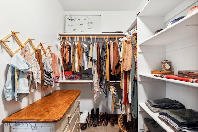 2296 Boylan Rd, Bozeman, MT 59715 - view of spacious closet