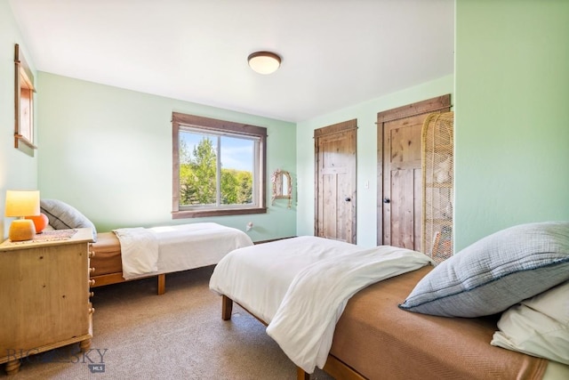 2296 Boylan Rd, Bozeman, MT 59715 - bedroom with carpet flooring and multiple closets
