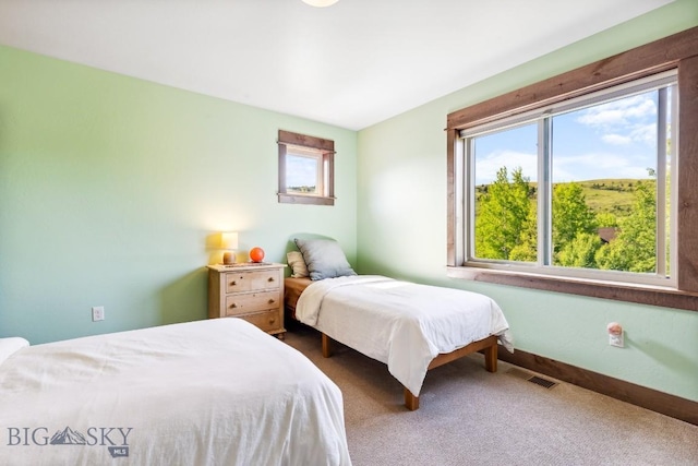 2296 Boylan Rd, Bozeman, MT 59715 - carpeted bedroom with baseboards