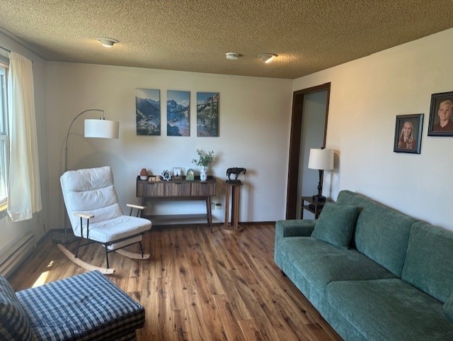 305 Mcewen Dr, Belgrade, MT 59714 - living room with wood finished floors, a baseboard radiator, a textured ceiling, and plenty of natural light