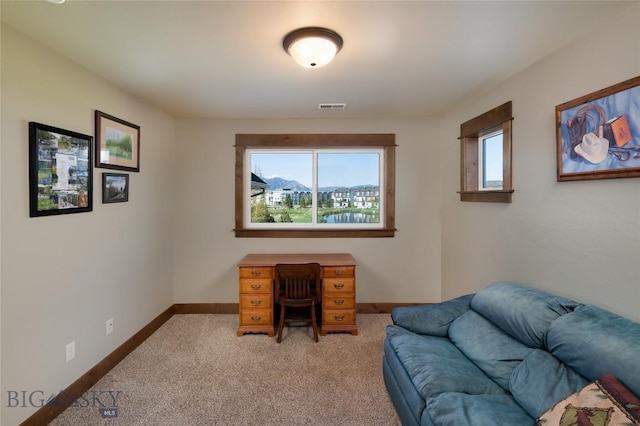 3200 Golden Sun Dr, Bozeman, MT 59718 - photo 30