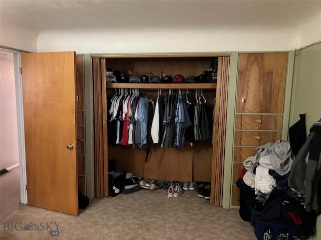 775 N Montana, Dillon, MT 59725 - view of closet