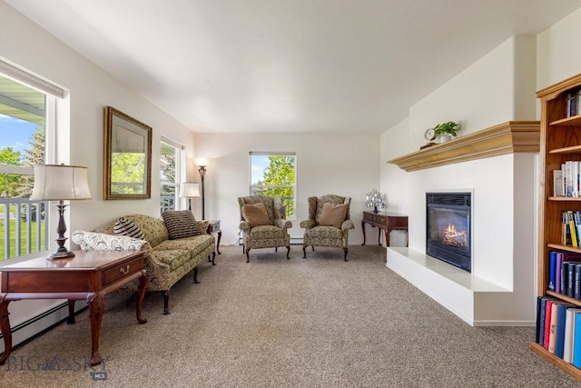 193 Lucille Ln, Bozeman, MT 59718 - carpeted living room featuring a glass covered fireplace and a baseboard radiator