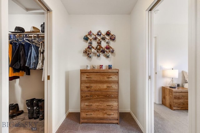 193 Lucille Ln, Bozeman, MT 59718 - spacious closet featuring carpet floors