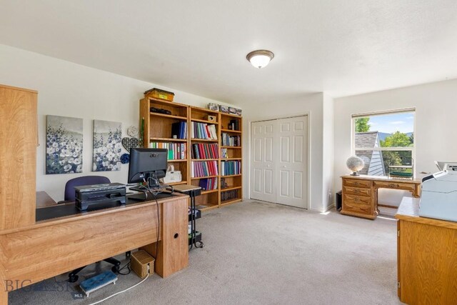 193 Lucille Ln, Bozeman, MT 59718 - office with light carpet