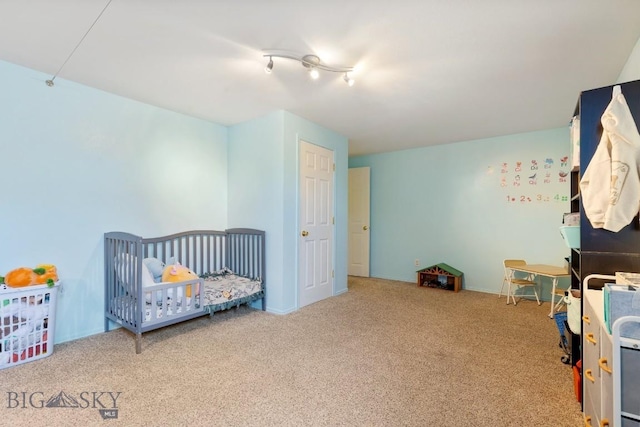 193 Lucille Ln, Bozeman, MT 59718 - bedroom with carpet