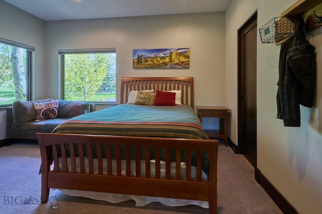 65 Triple Tree Ln, Bozeman, MT 59715 - carpeted bedroom featuring baseboards