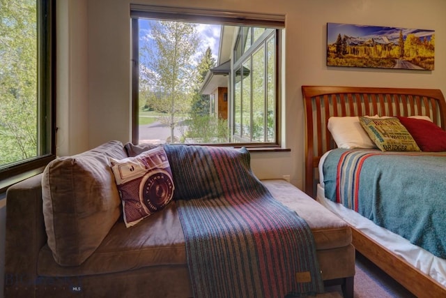 65 Triple Tree Ln, Bozeman, MT 59715 - bedroom with multiple windows