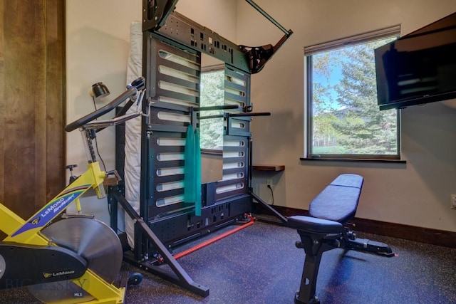 65 Triple Tree Ln, Bozeman, MT 59715 - workout area with plenty of natural light