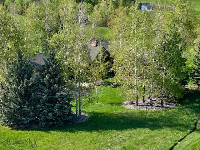 65 Triple Tree Ln, Bozeman, MT 59715 - aerial view