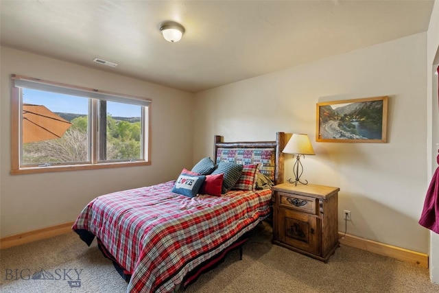 1511 Mt Highway 287, Virginia City, MT 59755 - carpeted bedroom with baseboards