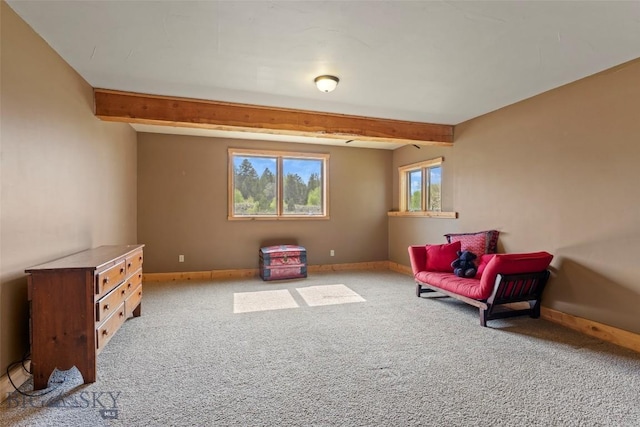 1511 Mt Highway 287, Virginia City, MT 59755 - sitting room with carpet floors, beamed ceiling, and baseboards