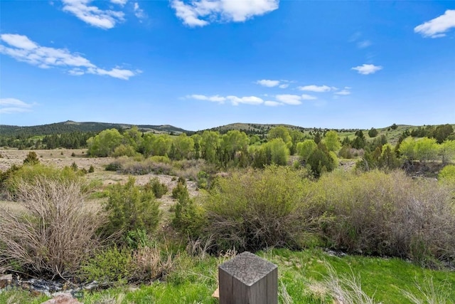 1511 Mt Highway 287, Virginia City, MT 59755 - view of mountain backdrop