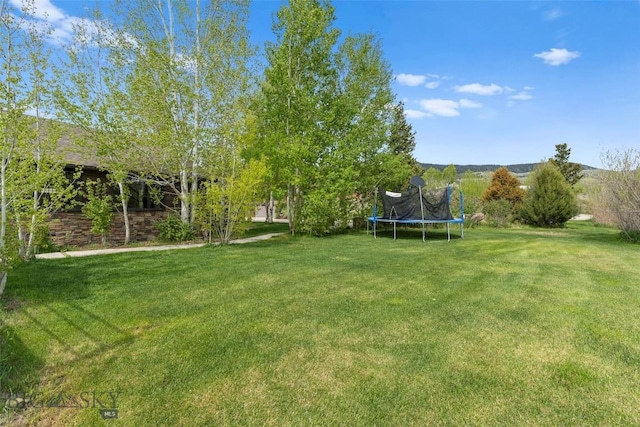 1511 Mt Highway 287, Virginia City, MT 59755 - view of green lawn featuring a trampoline