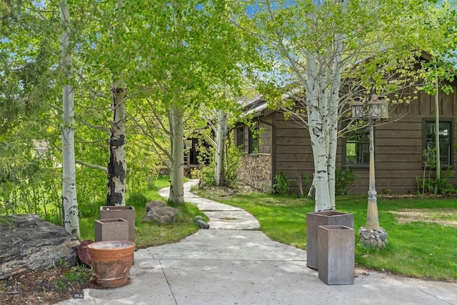 1511 Mt Highway 287, Virginia City, MT 59755 - view of green lawn