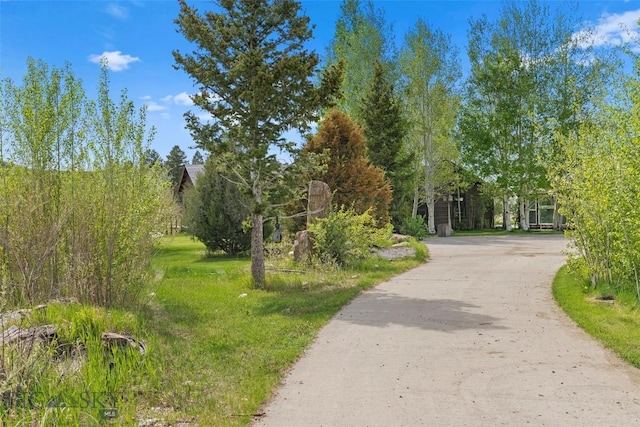 1511 Mt Highway 287, Virginia City, MT 59755 - view of property's community with driveway