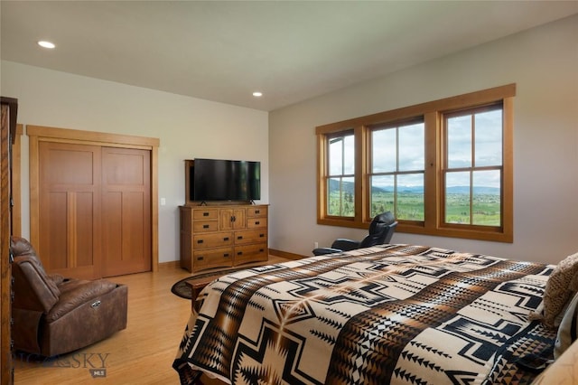 101 Columbine Ct, Bozeman, MT 59715 - bedroom with light wood-style floors, recessed lighting, and a closet