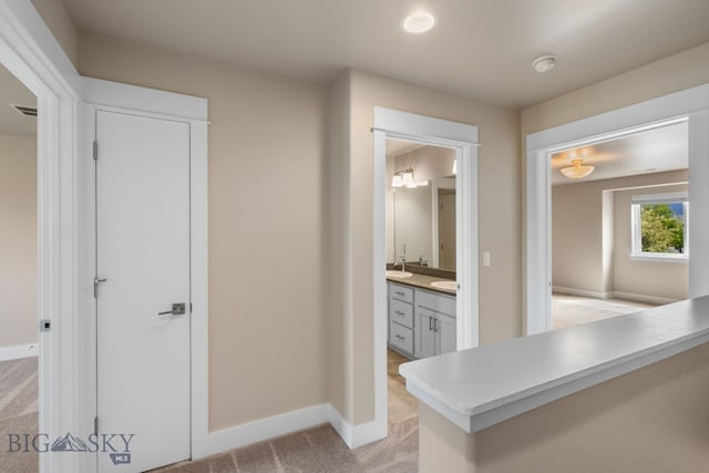 3123 Warbler Way Units A-D, Units A-D Bozeman, MT 59718 - bathroom with vanity and baseboards