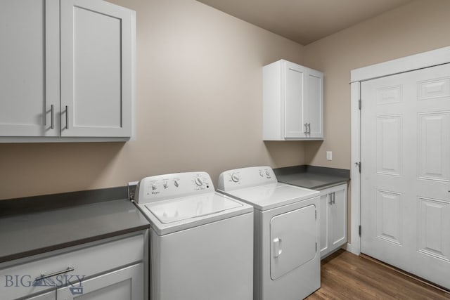 3123 Warbler Way Units A-D, Units A-D Bozeman, MT 59718 - washroom featuring cabinet space, washer and dryer, and wood finished floors