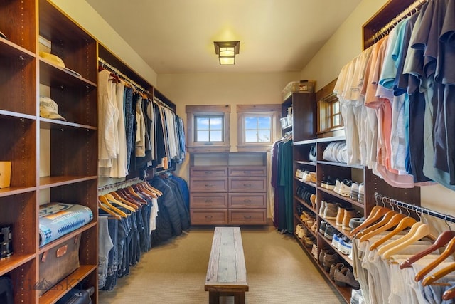 171 Brave Heart Loop, Bozeman, MT 59718 - spacious closet featuring light colored carpet
