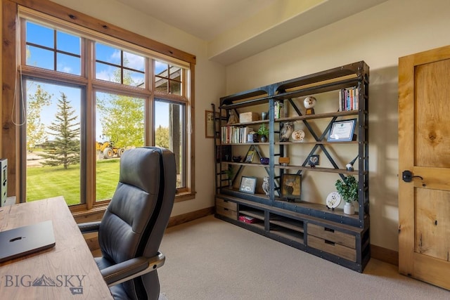 171 Brave Heart Loop, Bozeman, MT 59718 - carpeted office featuring baseboards