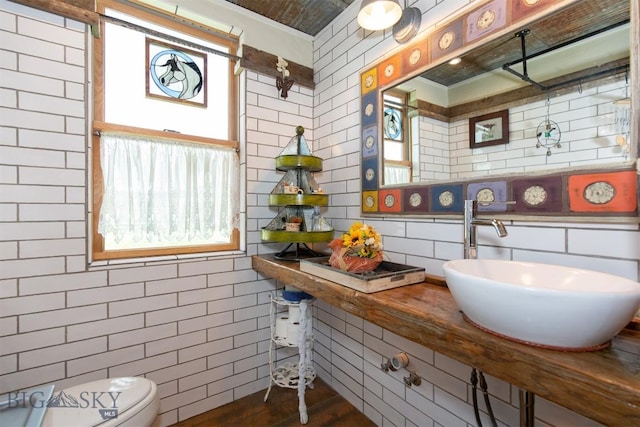 49 Redtail Hawk Rd, Mcallister, MT 59740 - bathroom featuring tile walls, plenty of natural light, a sink, and toilet