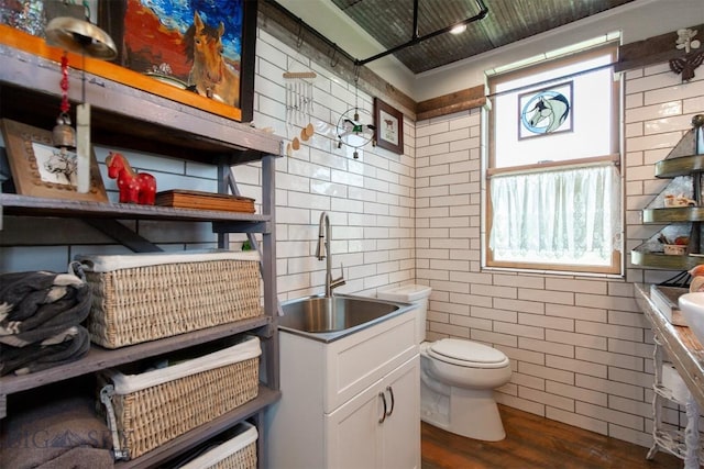 49 Redtail Hawk Rd, Mcallister, MT 59740 - bathroom featuring tile walls, a sink, toilet, and wood finished floors