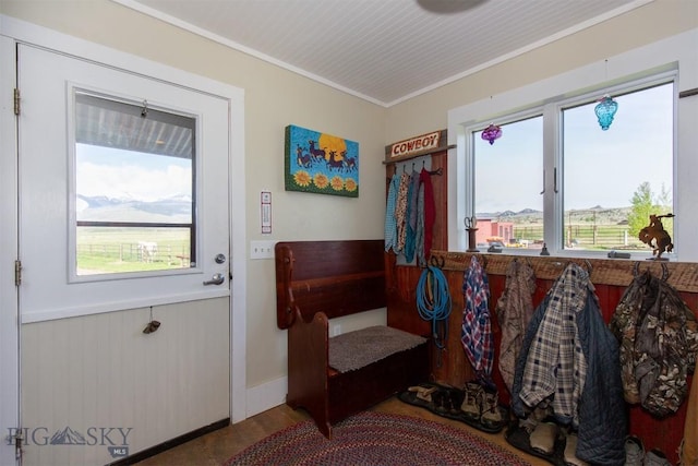 49 Redtail Hawk Rd, Mcallister, MT 59740 - doorway to outside featuring plenty of natural light and crown molding
