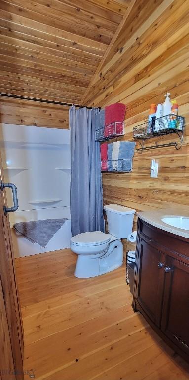 747 Upper Ruby Rd, Alder, MT 59755 - bathroom with toilet, vaulted ceiling, curtained shower, vanity, and wood-type flooring