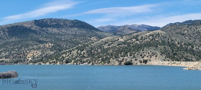 747 Upper Ruby Rd, Alder, MT 59755 - water view with a mountain backdrop