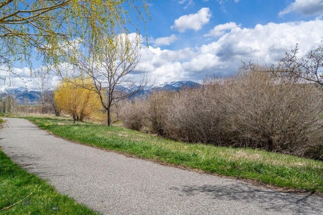 3866 Blondie St, Bozeman, MT 59718 - photo 48
