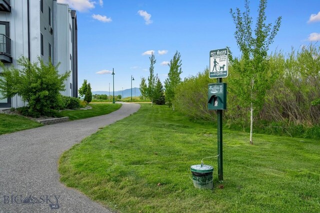 3866 Blondie St, Bozeman, MT 59718 - photo 46