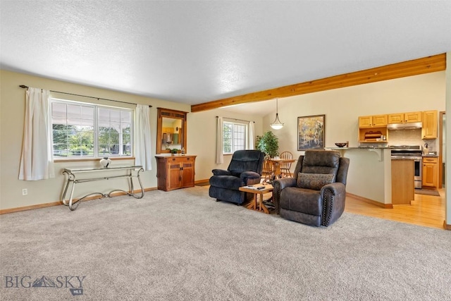 125 N Pheasant Dr, Bozeman, MT 59718 - living area featuring light colored carpet, baseboards, and a textured ceiling