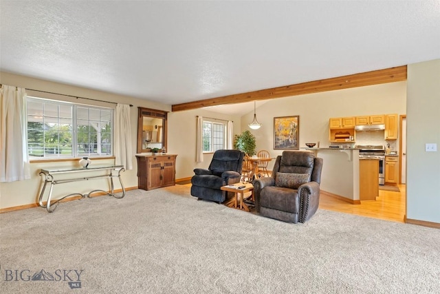 125 N Pheasant Dr, Bozeman, MT 59718 - living area featuring light colored carpet, baseboards, and a textured ceiling