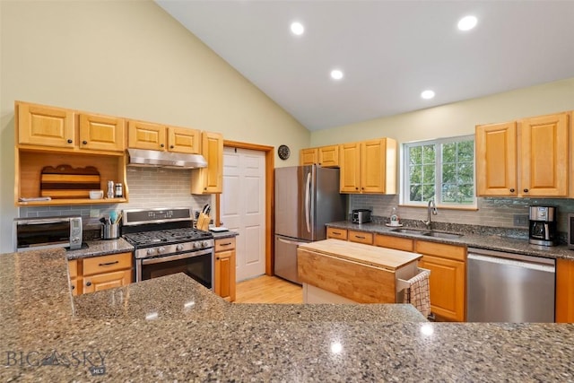 125 N Pheasant Dr, Bozeman, MT 59718 - kitchen featuring stainless steel appliances, a sink, under cabinet range hood, dark stone countertops, and light wood-style floors