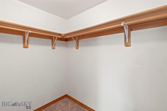 125 N Pheasant Dr, Bozeman, MT 59718 - spacious closet with carpet flooring