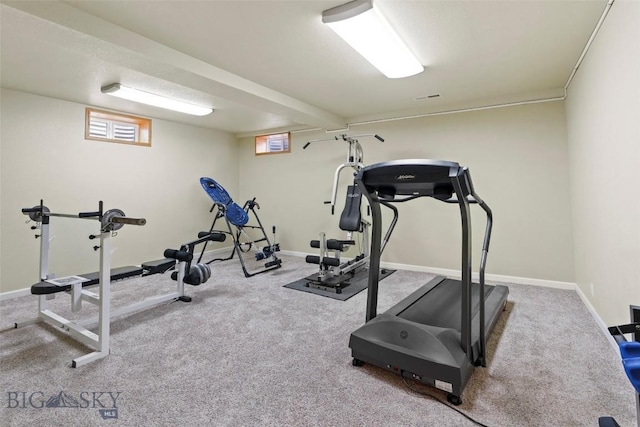125 N Pheasant Dr, Bozeman, MT 59718 - workout area featuring carpet flooring and baseboards